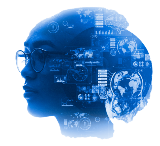 Perpetual Technologies consulting team working on digital marketing solutions